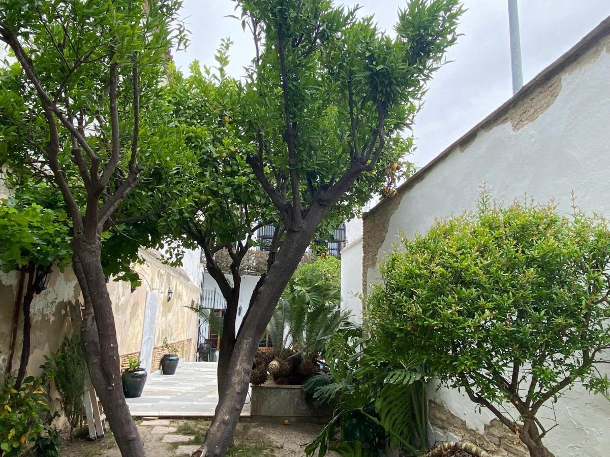 Casa Palacio Anima Jerez de la Frontera Bagian luar foto